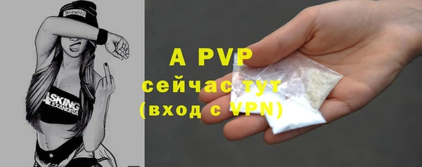 молекула духа Алексеевка