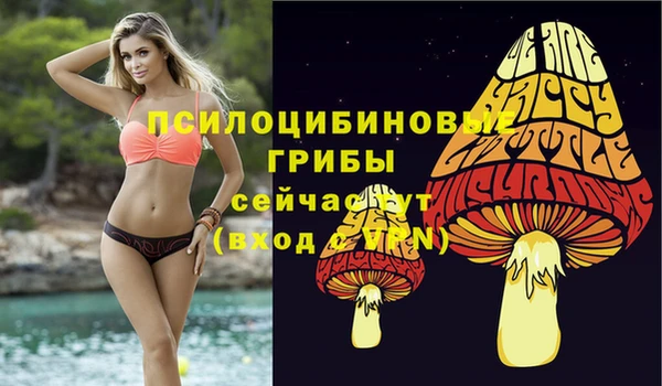 спиды Алексин